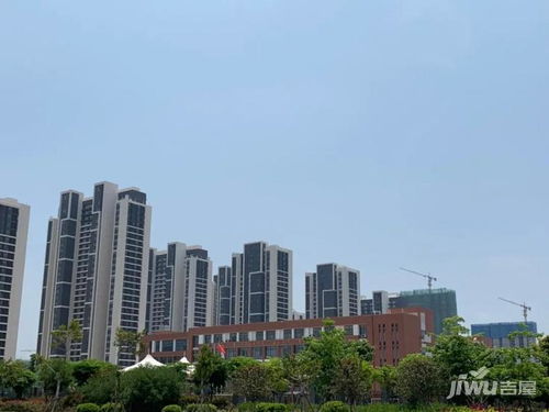 厦门滨海花园新星 融信铂悦湾，捡漏良机不容错过