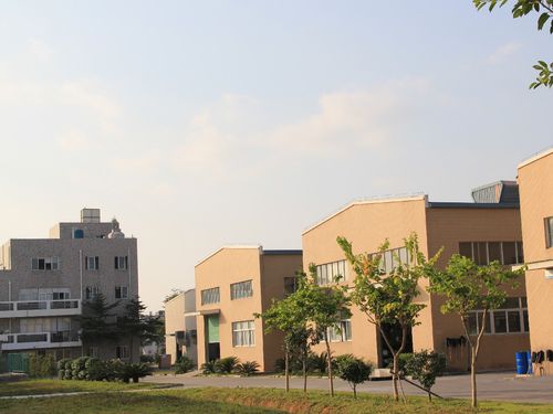 厦门翔邦高分子科技与厦门宜信邦 业务定位与协同发展解析